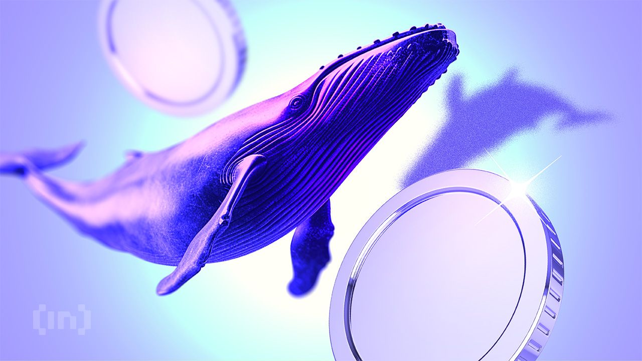 Crypto Whales Are Buying These 3 Altcoins for December Gains?
