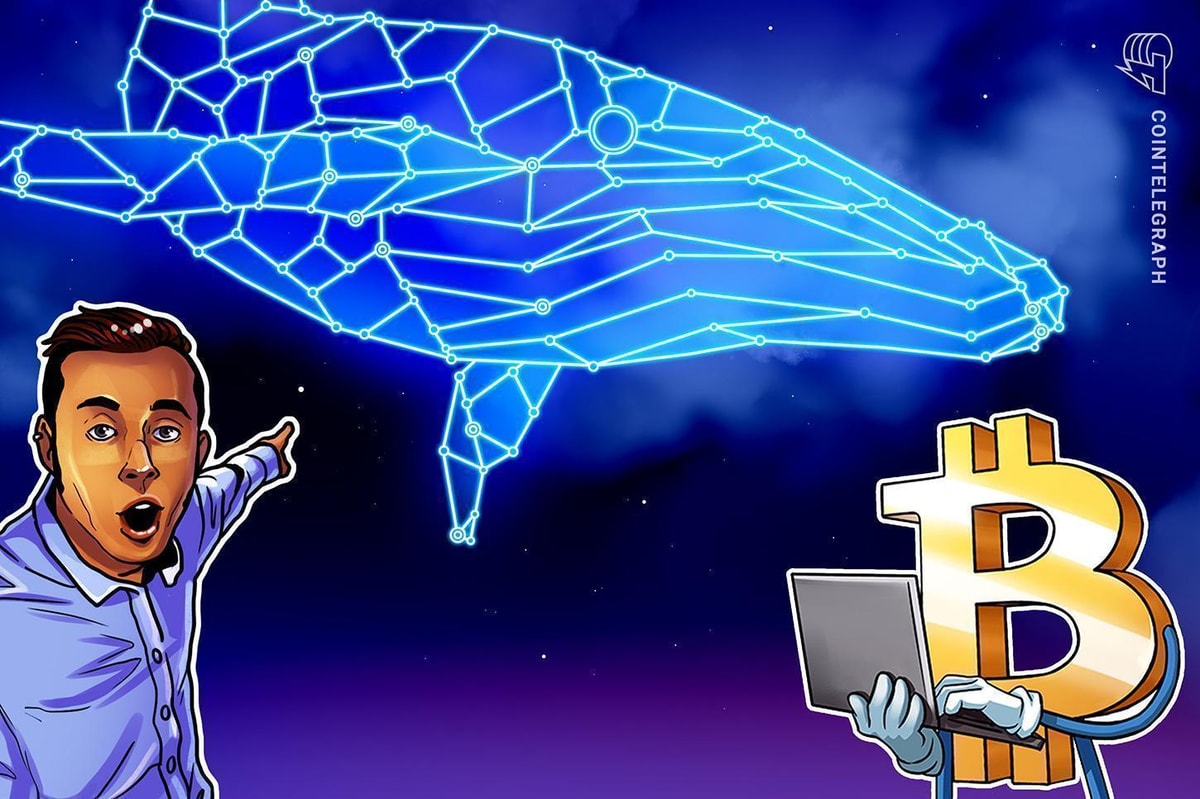 Ethereum Treasury Trade Unwinds, Large Players Amass ETH Supply