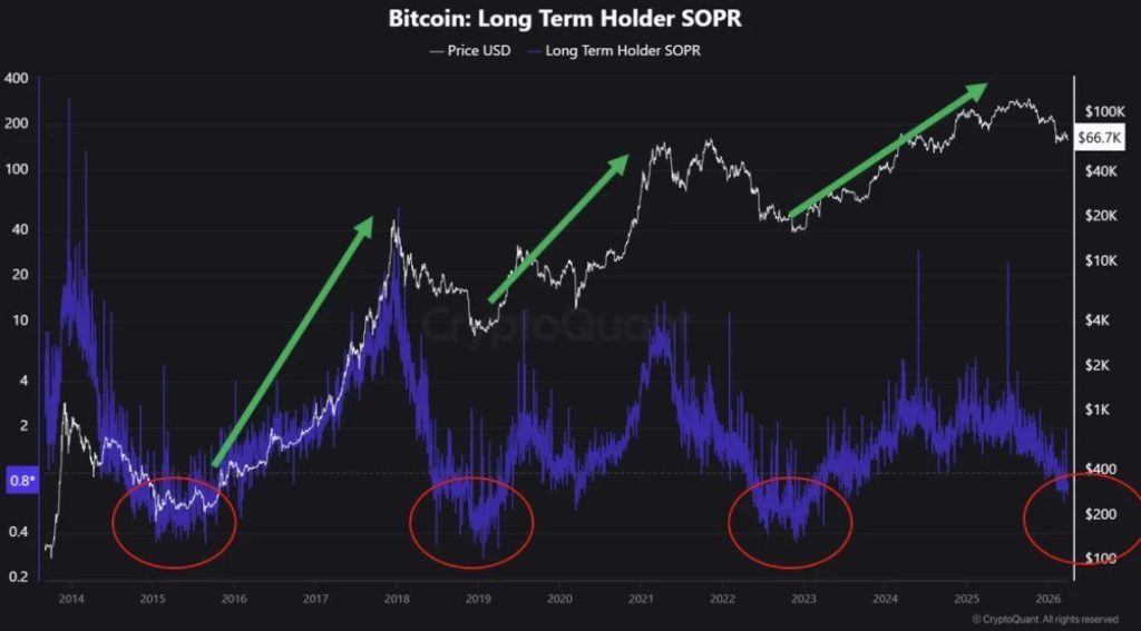 Bitcoin Price Flashes Warning as Nearly Half of Supply Sits at a Loss